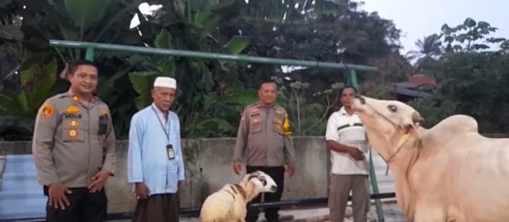 Kapolsek Pasar kemis Serahkan Hewan Kurban Ke Ponpes Al-Istqlaliyyah