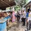 Cegah PMK, Polsek Pasar Kemis Polresta Tangerang Cek Sejumlah Ternak