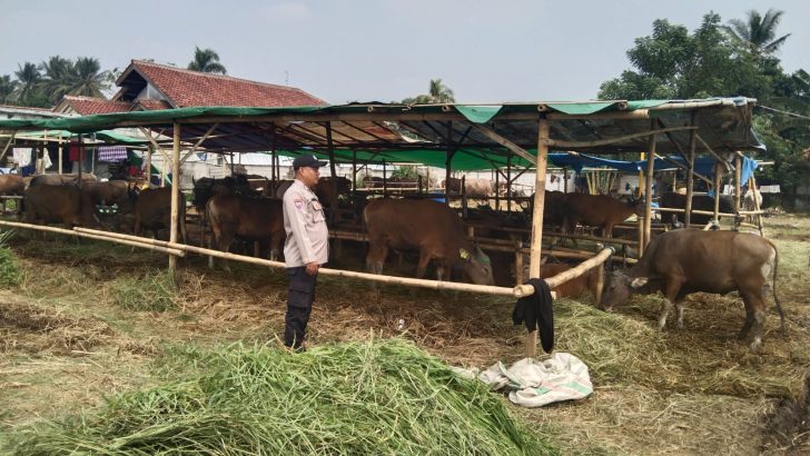 BHABINKAMTIBMAS DESA LEMBANGSARI MELAKUKAN SAMBANG DAN PENGECEKAN HEWAN KURBANG