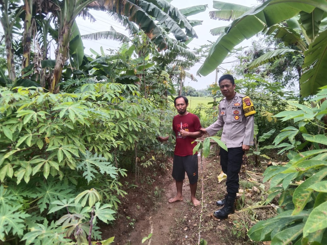 Bhabinkamtibmas Desa Sindang Panon Kunjungi Warga yang Memanfaatkan Pekarangan untuk Ketahanan Pangan
