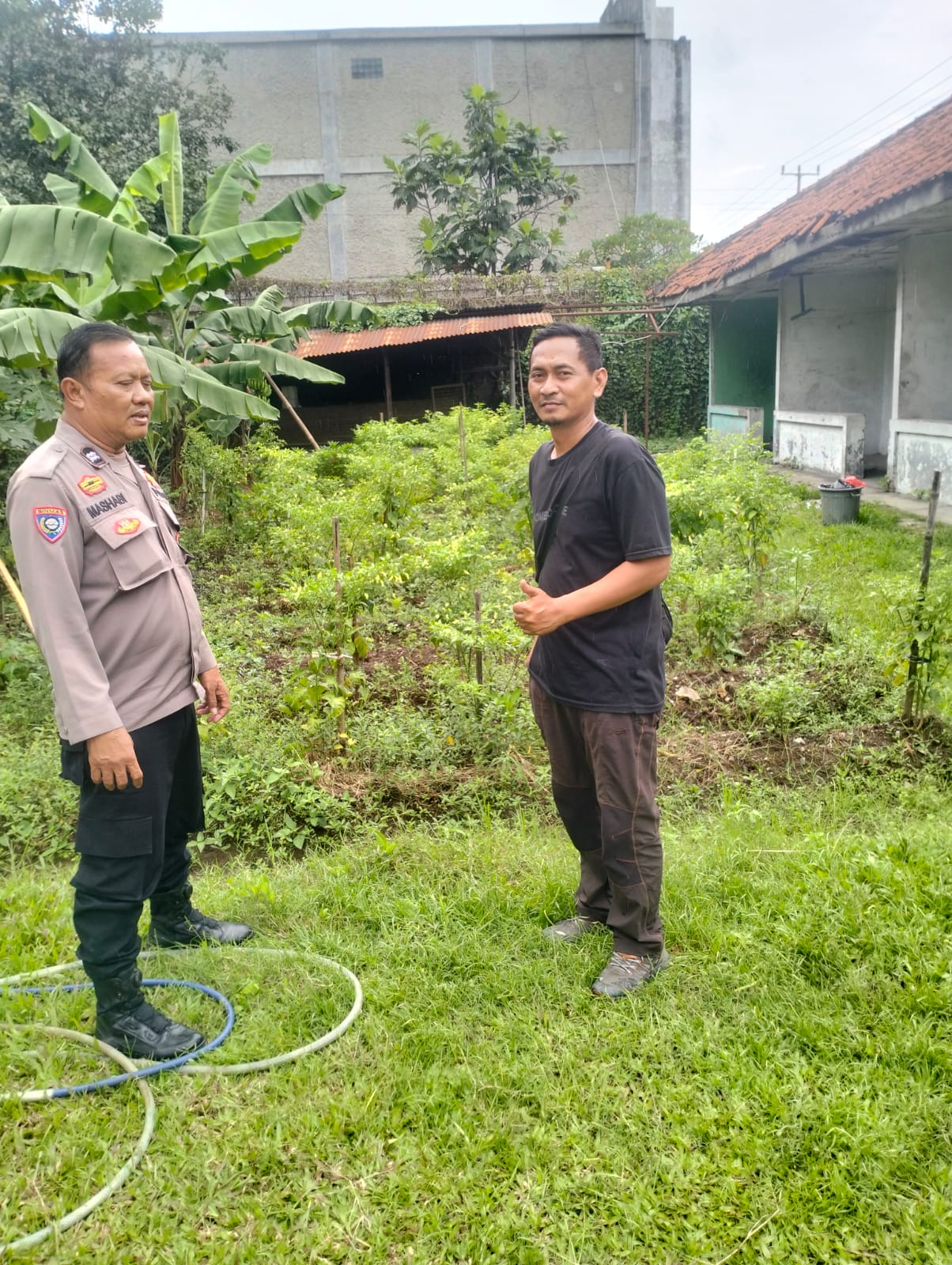 Dukung Ketahanan Pangan, Bhabinkamtibmas Polsek Pasar Kemis Ajak Warga Manfaatkan Lahan Pekarangan