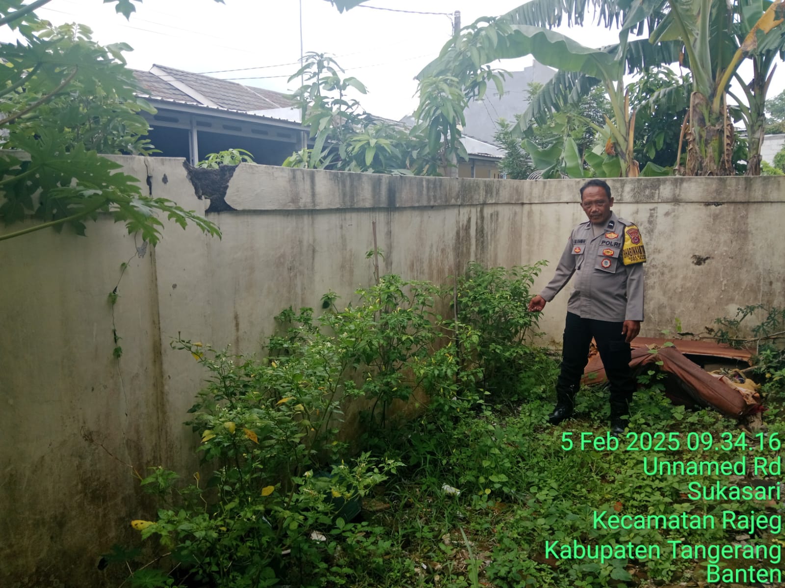 Dalam mendukung program Ketahanan Pangan Polsek Rajeg Polresta Tangerang Gelar Program Kapolda Banten Poliran dan Pendataan Pekarangan Lestari di Kp. Bolang Desa Sukasari Raje