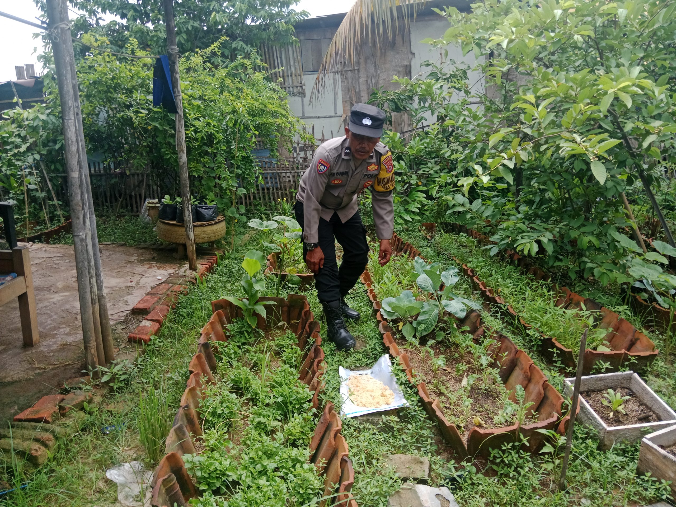 kegiatan binamas desa sukasari sambang warga binaan