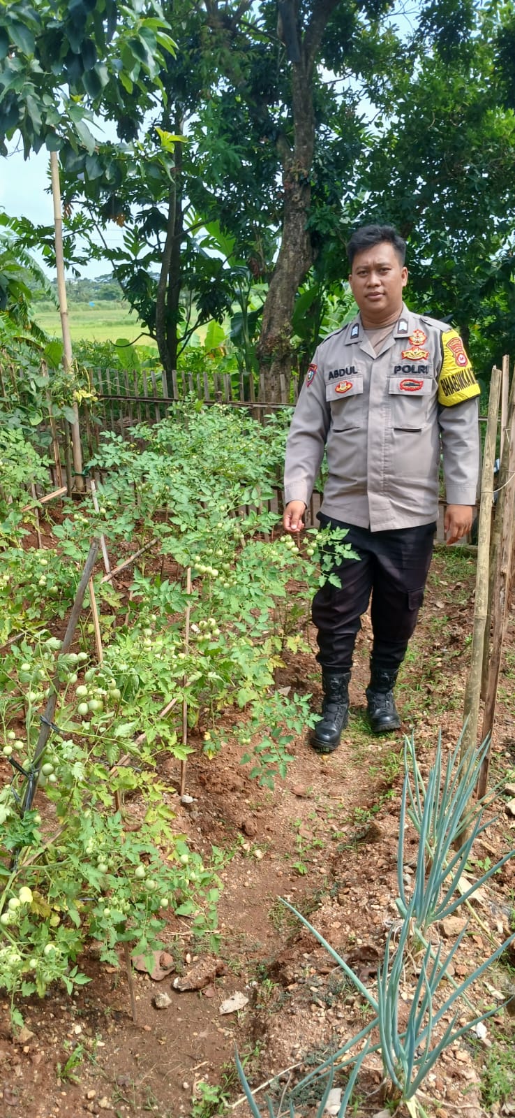 Dalam mendukung program Ketahanan Pangan Polsek Rajeg Polresta Tangerang Gelar Program Kapolda Banten Poliran dan Pendataan Pekarangan Lestari di Kecamatan Rajeg
