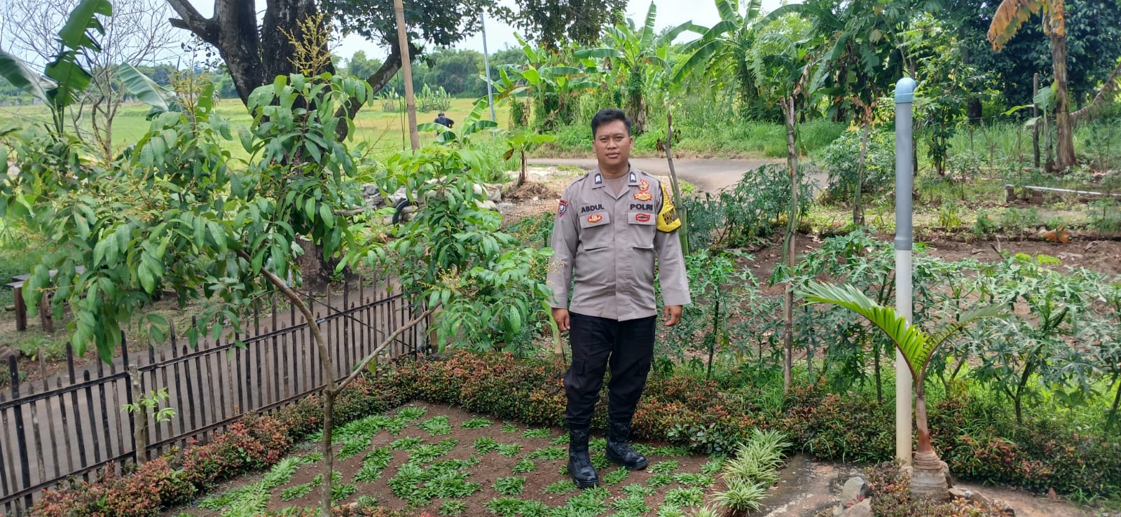 Dalam mendukung program Ketahanan Pangan Polsek Rajeg Polresta Tangerang Gelar Program Kapolda Banten Poliran dan Pendataan Pekarangan Lestari di Kecamatan Rajeg