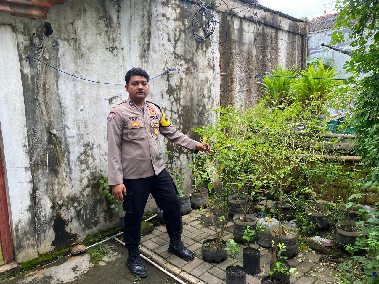 Dalam mendukung program Ketahanan Pangan Polsek Rajeg Polresta Tangerang Gelar Program Kapolda Banten Poliran dan Pendataan Pekarangan Lestari di Kecamatan Rajeg