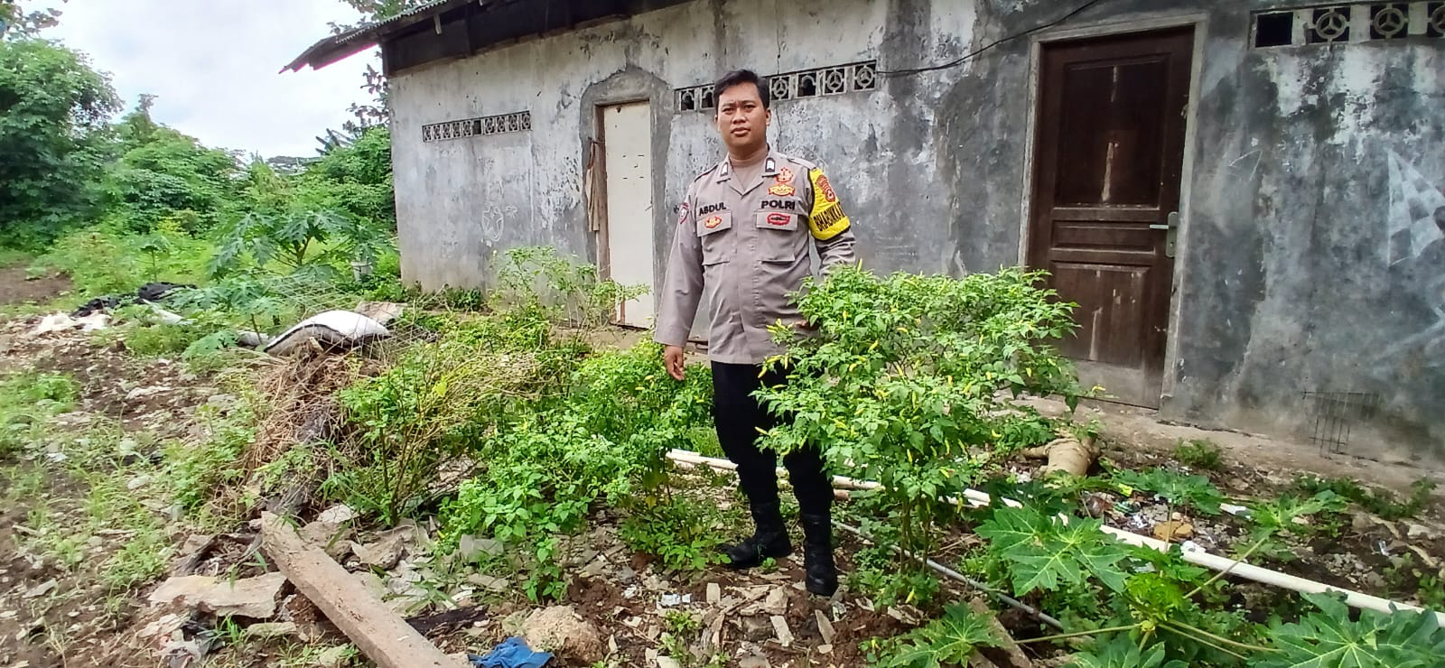 Dalam mendukung program Ketahanan Pangan Polsek Rajeg Polresta Tangerang Gelar Program Kapolda Banten Poliran dan Pendataan Pekarangan Lestari di Kecamatan Rajeg