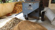 Sukseskan Program Ketahanan Pangan Presiden, Polsek Panongan Gelar Panen Jagung di Desa Ranca Iyuh