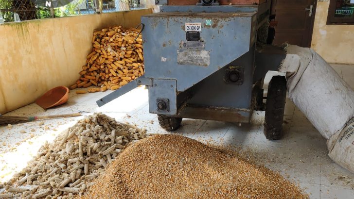 Sukseskan Program Ketahanan Pangan Presiden, Polsek Panongan Gelar Panen Jagung di Desa Ranca Iyuh